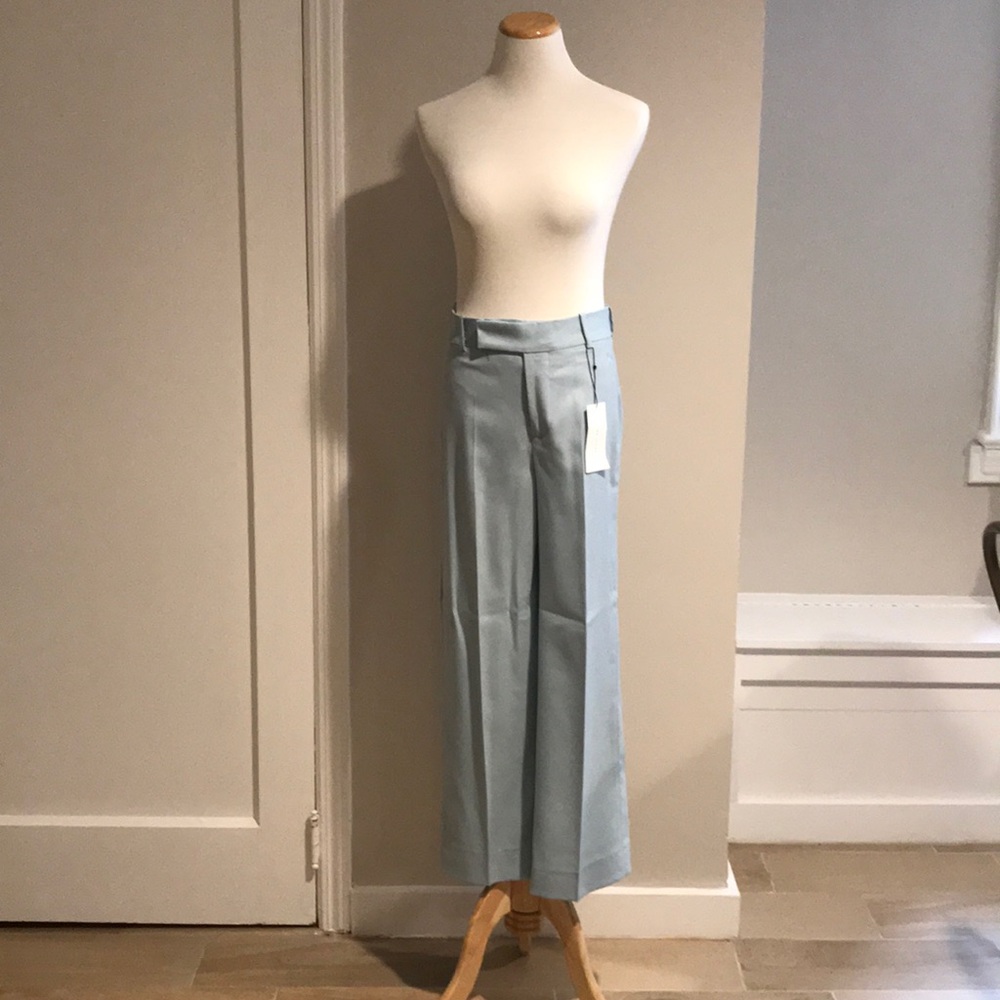 Zara wide leg Pants